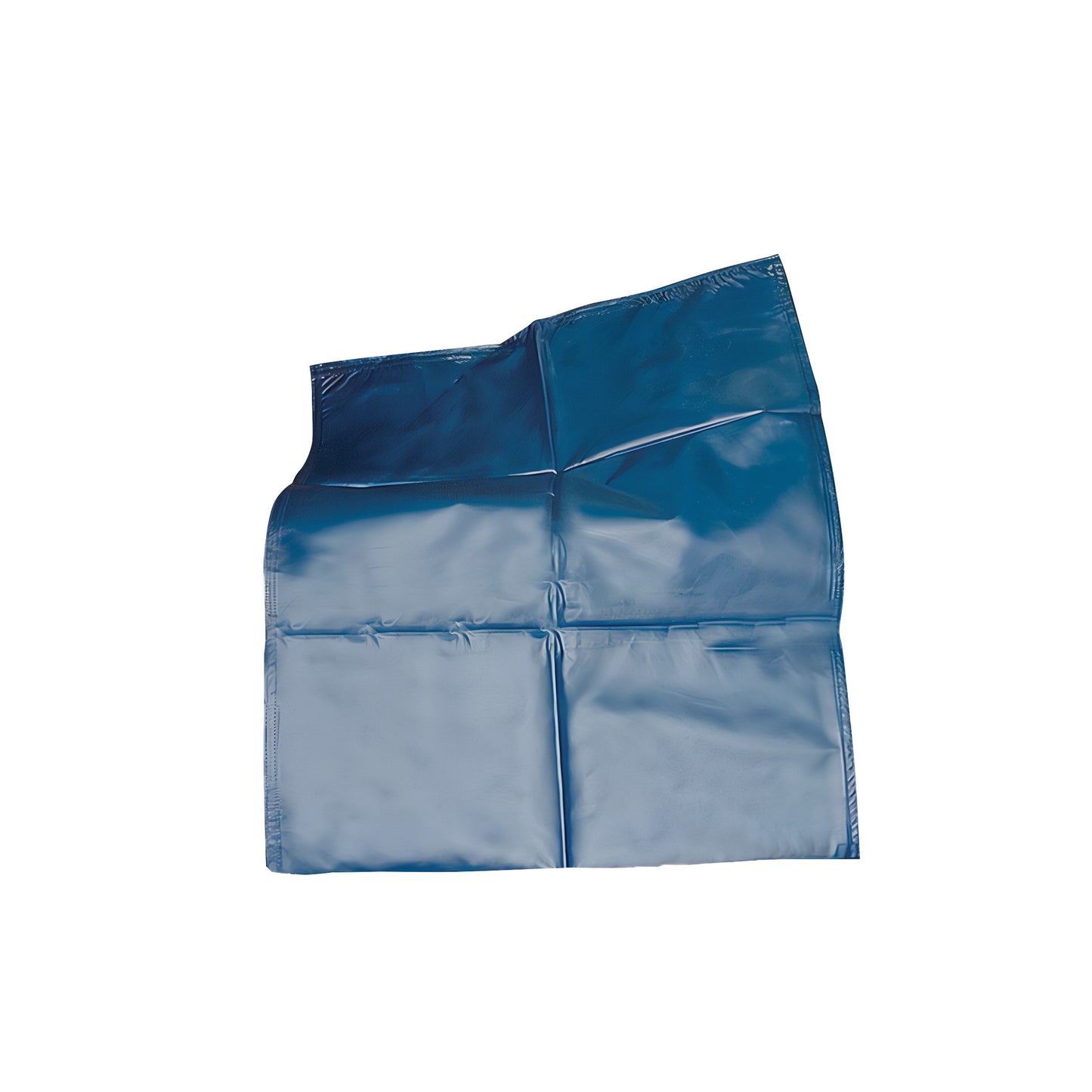 SafetySure® Car Ease
