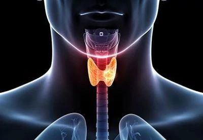thyroid pain point