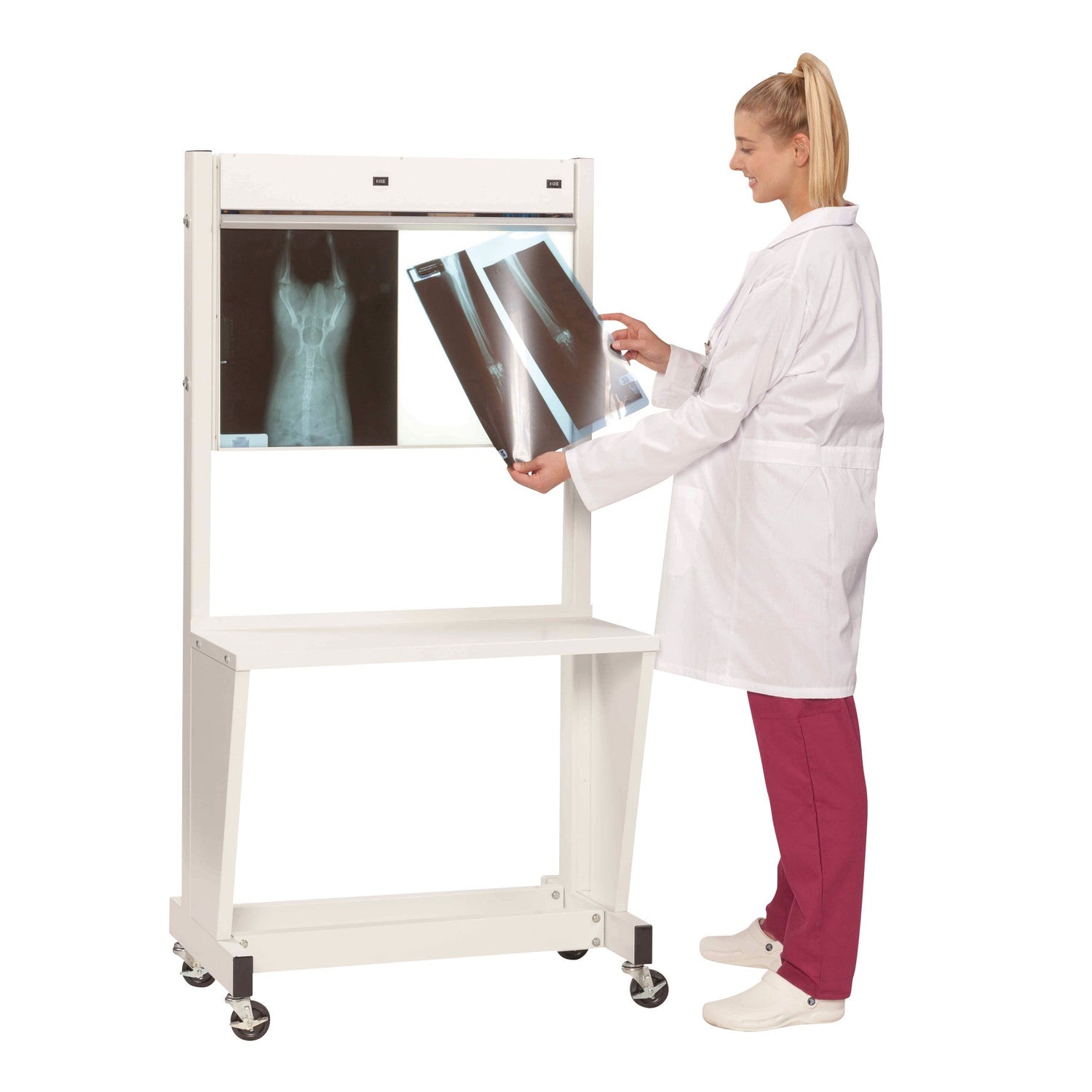 An image of an x-ray illuminator representing a X-ray accessories category