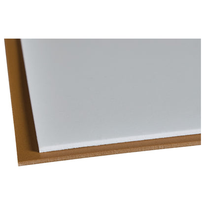 AliMed® AliPlast™ 10