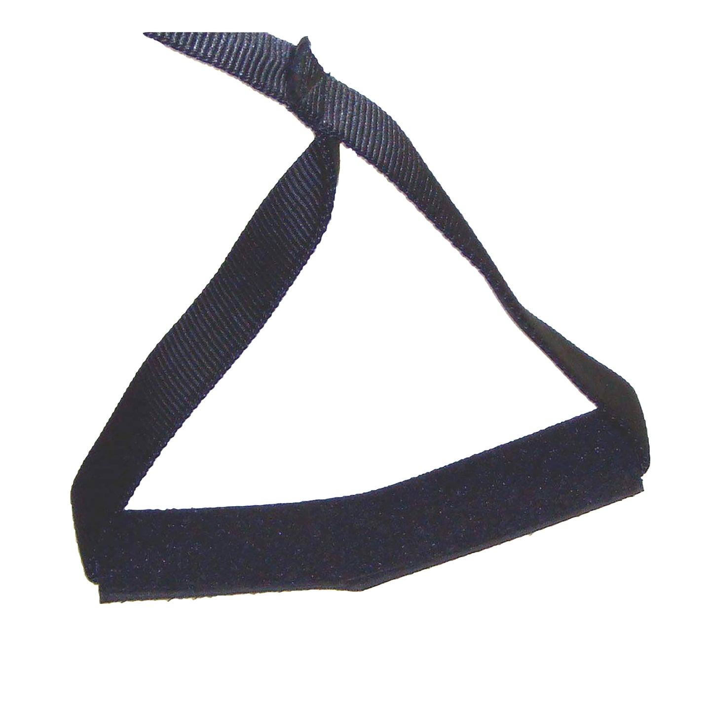 SafetySure® Leg Up™