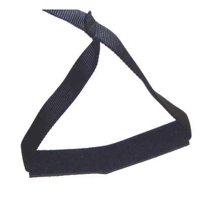 SafetySure® Leg Up™