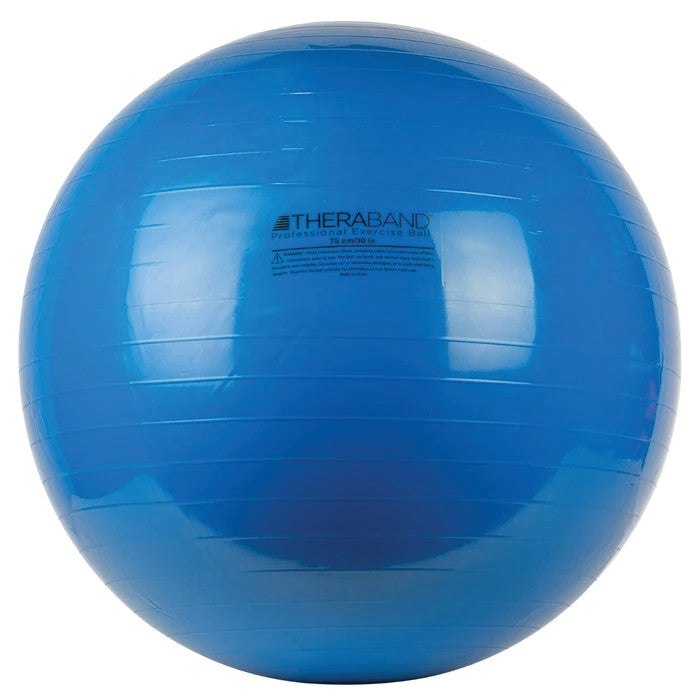 Exercise Ball, Blue, 29"W (75 cm)