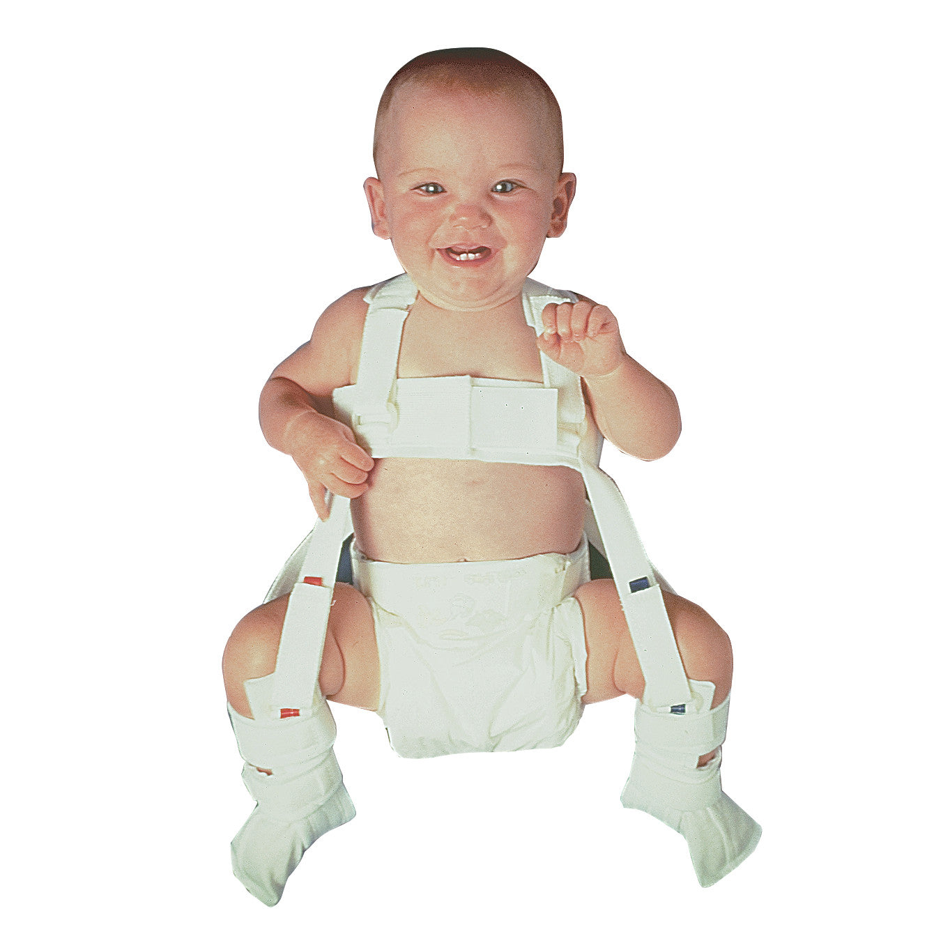 Pavlik Harness, Large