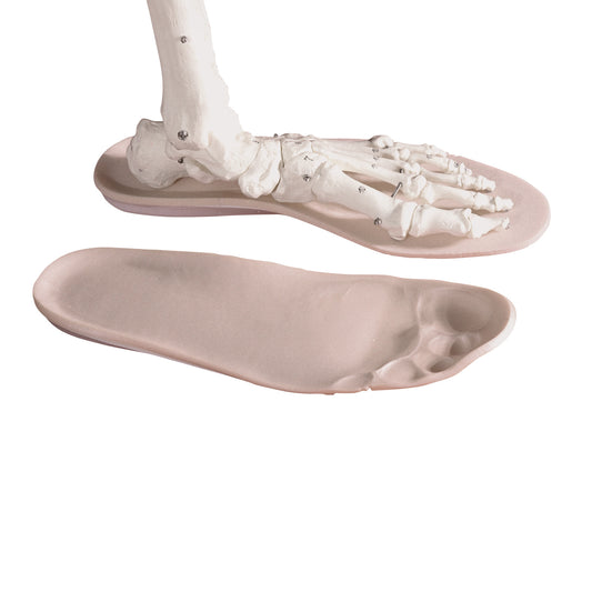 Duo/Laminate D-Soles, 1/8"H, Size D