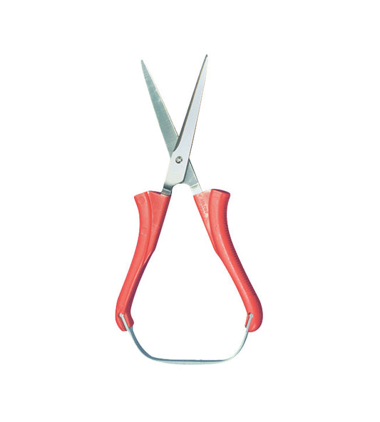 Loop Scissors with Round Tip