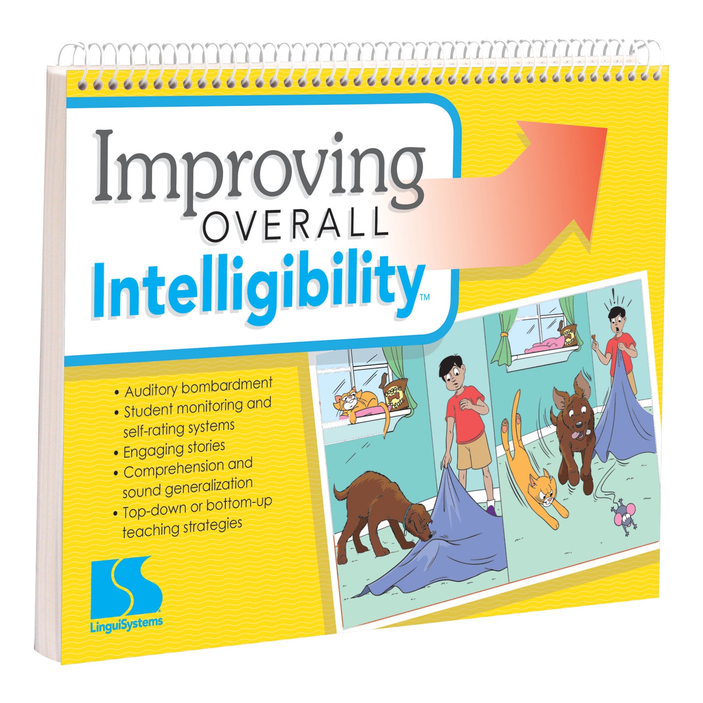 Improving Overall Intelligibility