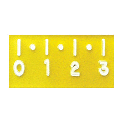 Digital Imaging Marker Ruler