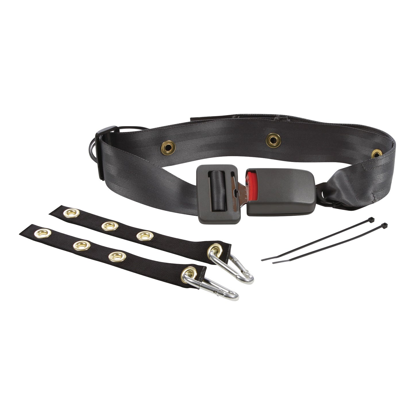 Buckled Seatbelt, 10/Case