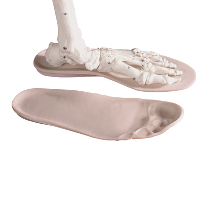Duo/Laminate D-Soles, 1/8"H, Size B