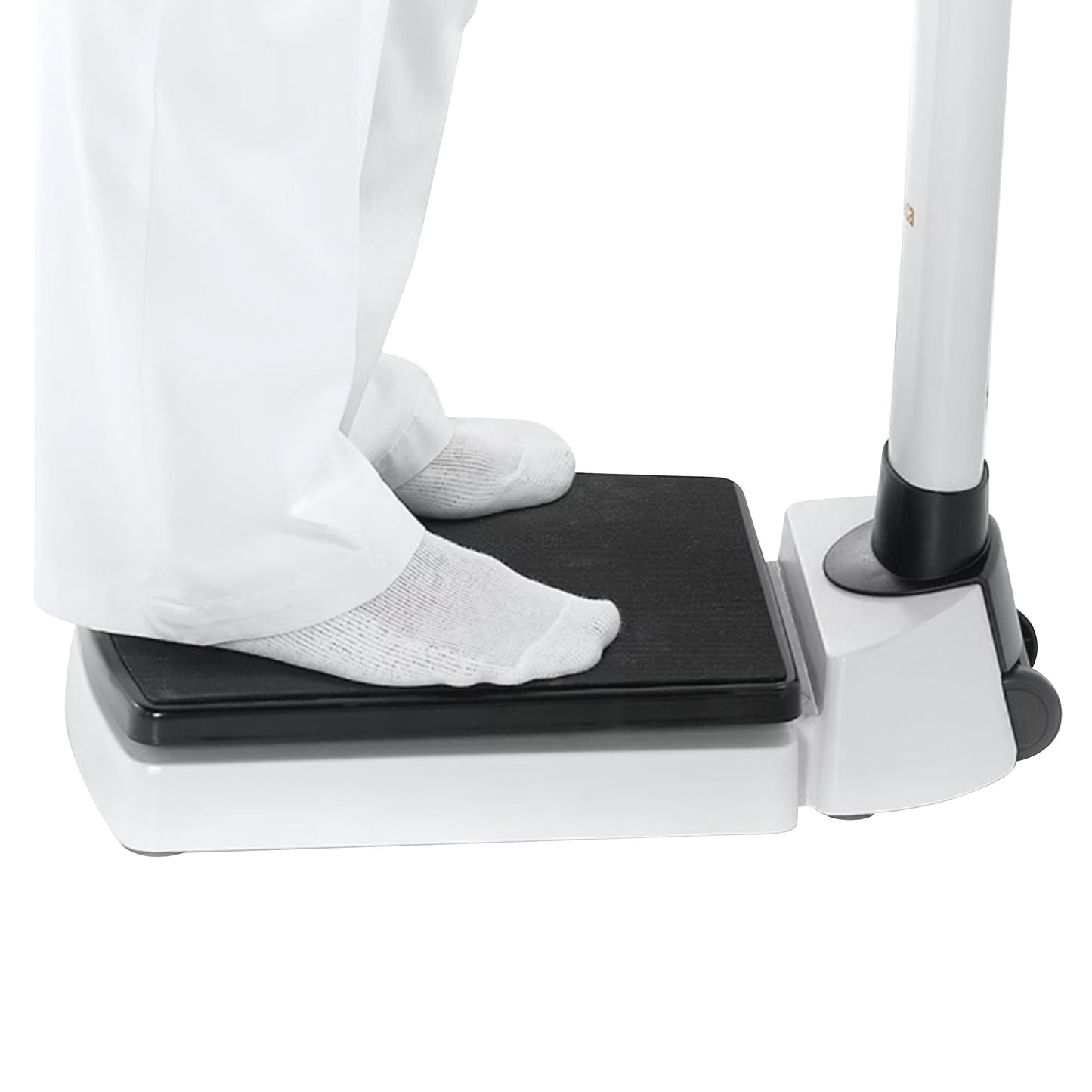 seca 703 Column Scale