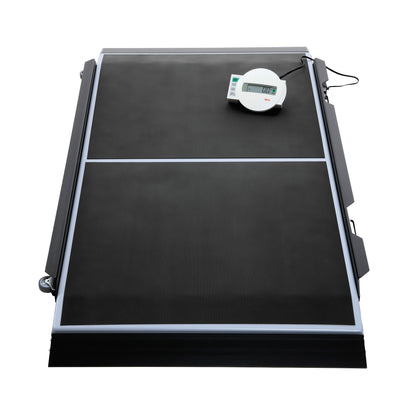seca 656 Electronic Platform Scale