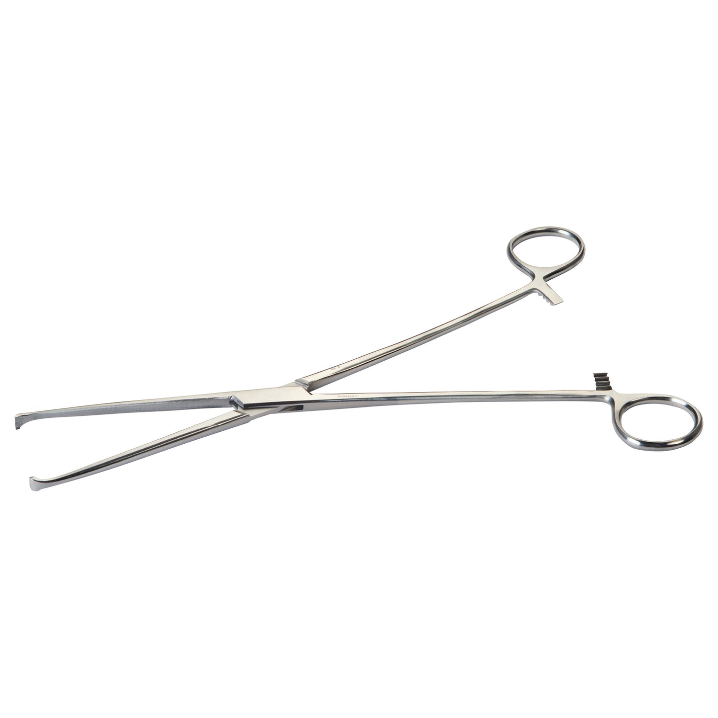 Allis Tissue Forceps, 10"L, 5x6 Teeth, Straight, Economy