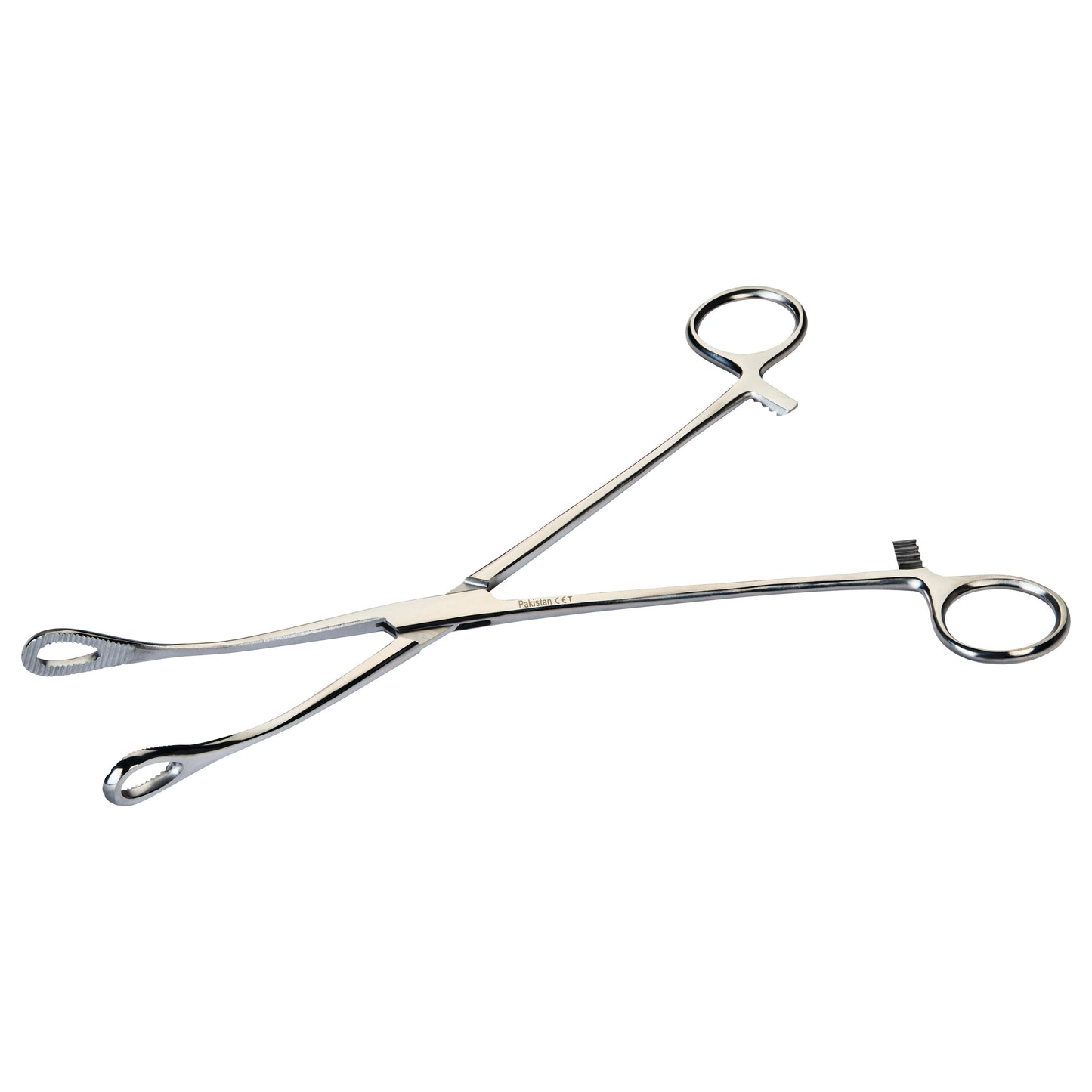 Serrated Foerster Sponge Forceps, 9-1/2"L, Curved, Economy Steel